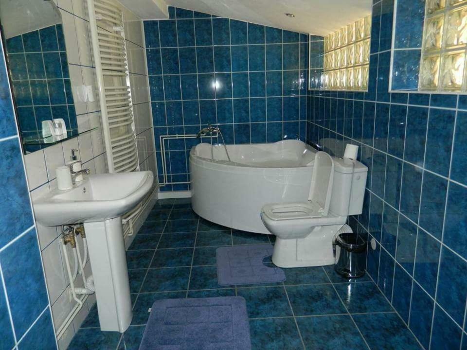 Casa Cristian Villa Sinaia Dış mekan fotoğraf
