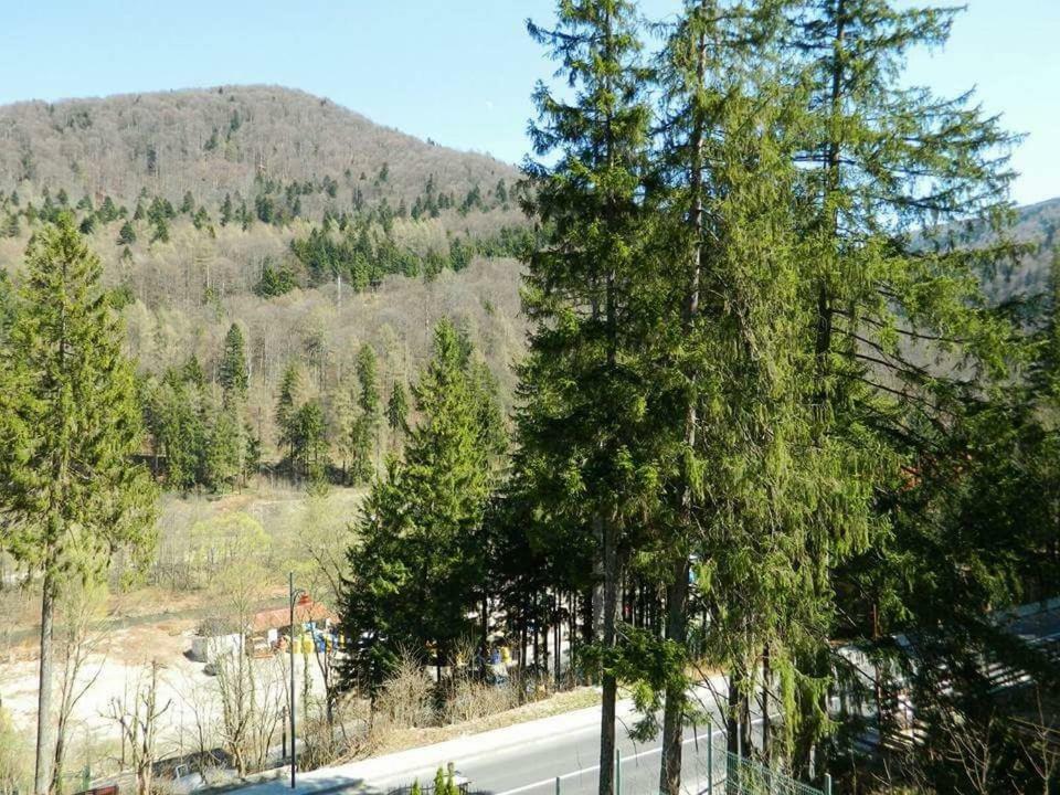 Casa Cristian Villa Sinaia Dış mekan fotoğraf